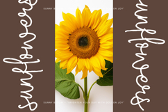 Velvet Horizon Product Image 13