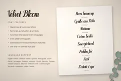Velvet Bloom Bold Brush Script Font Product Image 3
