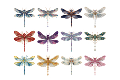 Gemstone Dragonfly Clipart PNG Set Product Image 3