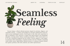 Vescura Modern Transitional Editorial Serif Product Image 3