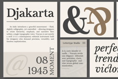 Vescura Modern Transitional Editorial Serif Product Image 4