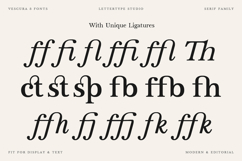 Vescura Modern Transitional Editorial Serif Product Image 6