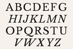Vescura Modern Transitional Editorial Serif Product Image 9