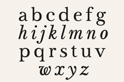 Vescura Modern Transitional Editorial Serif Product Image 10