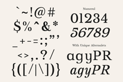 Vescura Modern Transitional Editorial Serif Product Image 11