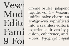 Vescura Modern Transitional Editorial Serif Product Image 13