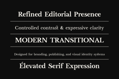 Vescura Modern Transitional Editorial Serif Product Image 14