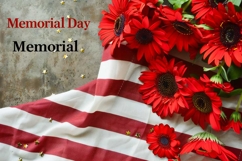 Memorial Day for American Flag Product Image 1