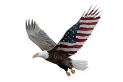 American Eagle Flag Patriotic 4th of July PNG Product Image 1