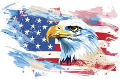American Eagle Flag Patriotic 4th of July Product Image 1