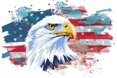 American Eagle Flag Patriotic 4th of July Png Product Image 1
