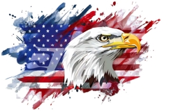 American Eagle Flag Patriotic 4th of July Png Product Image 1