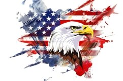 Eagle Clipart 4th of July Product Image 1