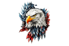 Eagle Flag Patriotic 4th of July PNG Product Image 1