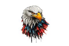 American Eagle Flag Patriotic 4th of July PNG Product Image 1