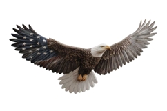 American Eagle Flag Patriotic 4th of July Png Product Image 1