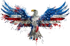 American Eagle Flag Patriotic 4th of July Product Image 1