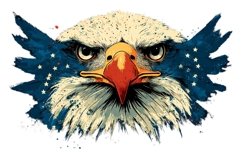 Eagle Clipart 4th of July Product Image 1