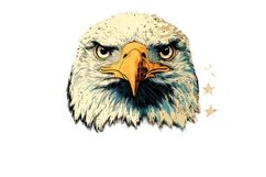 Eagle Clipart 4th of July Product Image 1