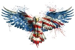 Eagle Clipart 4th of July Product Image 1