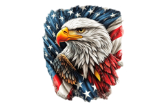 Eagle Clipart Patriotic 4th of July PNG Product Image 1
