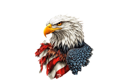 American Eagle Patriotic 4th of July PNG Product Image 1