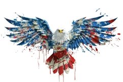 Eagle Clipart 4th of July Product Image 1