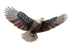 American Eagle Flag Patriotic 4th of July Png Product Image 1