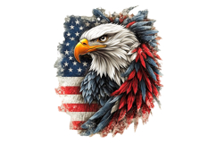 Eagle Patriotic 4th of July PNG Bundle Product Image 2