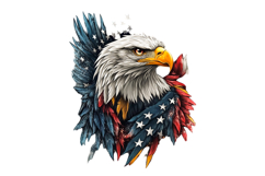 Eagle Patriotic 4th of July PNG Bundle Product Image 3