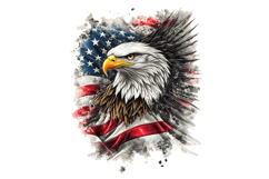 Eagle Flag Patriotic 4th of July PNG Product Image 1
