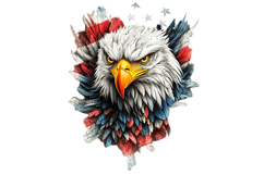 Eagle Flag Patriotic 4th of July PNG Product Image 1