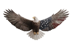 Eagle Clipart 4th of July PNG Product Image 1