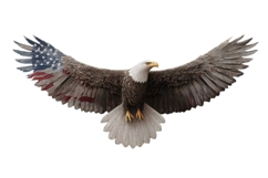 Eagle Clipart 4th of July PNG Product Image 1