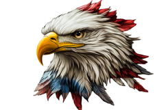 Eagle Clipart 4th of July PNG Product Image 1
