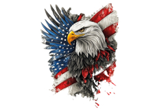 Eagle Patriotic 4th of July PNG Bundle Product Image 4
