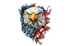 American Eagle Patriotic 4th of July PNG Product Image 1