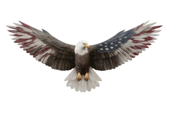 Eagle Clipart 4th of July PNG Product Image 1