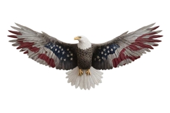 Eagle Clipart 4th of July PNG Product Image 1