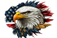 Eagle Clipart 4th of July PNG Product Image 1