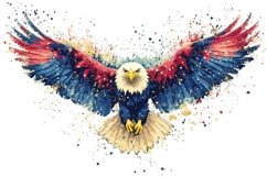 Eagle Clipart 4th of July Product Image 1