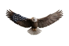 Eagle Clipart 4th of July PNG Product Image 1