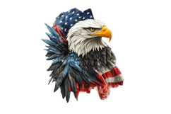 Eagle Flag Patriotic 4th of July PNG Product Image 1