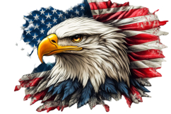 Eagle Flag Patriotic 4th of July PNG Product Image 1