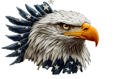 Eagle Clipart 4th of July PNG Product Image 1