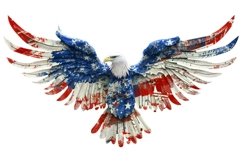 American Eagle Flag Patriotic 4th of July Product Image 1