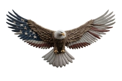 Eagle Clipart 4th of July PNG Product Image 1
