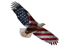 Eagle Clipart 4th of July PNG Product Image 1