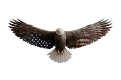 American Eagle Flag Patriotic 4th of July Png Product Image 1