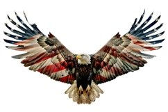 Eagle Flag Clipart 4th of July Product Image 1